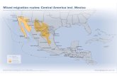 IOM The-Americas Routes Map deserts-01 El Salvador International Organization for Migration (IOM) -The