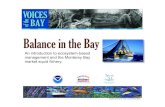 Balance in the Bay - Microsoft NOAAâ€™s Monterey Bay National Marine Sanctuary Monterey Maritime and