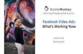 Facebook Video Ads: Whatâ€™s Working Now Facebook Video Stats â€¢51% of marketing professionals worldwide