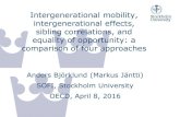Intergenerational mobility, intergenerational effects, sibling ...