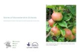 Stories of Worcestershire Orchards