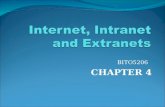 internet intranet and extranet