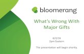 What's Wrong With Major Gifts?