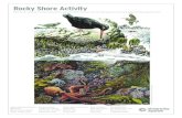 Rocky Shore Activity - آ  Title: Rocky Shore Habitat Poster Activity | Monterey Bay Aquarium Subject: