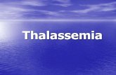 Thalassemia â€¢Beta thalassemia â€¢Beta thalassemia may be the best-known type of thalassemia and is