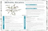 Whole Grains - Vermont Harvest of the Maple Granola Whole Wheat Apple Muffins Tidbit Whole grains are