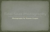 Tidal Seas Photography Slideshow 27 Jan 16