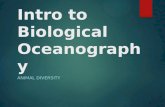 Intro to Biological Oceanography ANIMAL DIVERSITY.