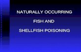 FISH & SHELLFISH POISONING