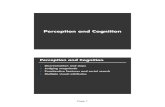 Perception and Cognition - Computer Perception and Cognition Perception and Cognition 1. Discrimination