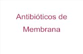 Antibioticos de Membrana Terapeutica