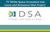 TV Innovative Cases and Botswana Pilot Projectdyn Cases and Botswana Pilot Project. About Botswana Innovation