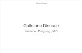 Gallstone Diseas Egolf_2