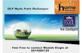 DLF Hyde Park Mullanpur