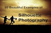 60 Beautiful Examples of Silhouette Photography