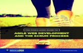 White Paper: Agile Web Development & The Scrum Process
