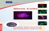Stemcell Eu Research Projects