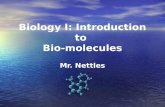 Sept 7 (biomolecules lipids proteins)