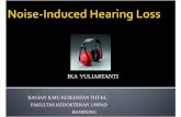 Noise Induced Hearing Loss IKA