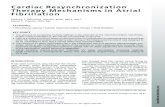 Cardiac Resynchronization Therapy Mechanisms in Atrial Whinnett - HF...¢  2014. 6. 26.¢  Cardiac Resynchronization