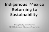 Mexico   Returning To Sustainability