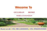 Gulshan Homz, Gulshan I Homz Noida Extension Flat 9811848444