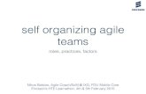 self organizing agile teams