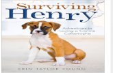 Surviving Henry