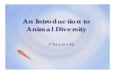 Ch 32   intro to animal diversity 10-11 [compatibility mode]