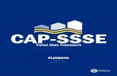 PLAYBOOK TSF Playbook Structure for Each Characteristic As states perform their TSF self-assessments