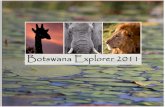 Botswana Explorer 2011