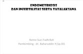 Endometriosis Cici