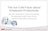 The Ice Cold Facts about Employee Productivity