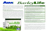 B family.pdf Kelp BarleyLife contains Laminaria digitata- , a wild, unculti vated species of kelp from