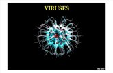 Fish Viruses Microbiology