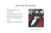Animal Diversity - Western Oregon University guralnl/101Animal DiversityI.pdf Animal Diversity â€¢ Arose