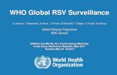 WHO Global RSV Surveillance - SARInet 2...آ  2017. 7. 26.آ  influenza epidemics and pandemic Global