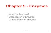 Sec 3 Bio1 Chapter 5 - Enzymes What Are Enzymes? Classification of Enzymes Characteristics of Enzymes