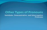 Indefinite, Demonstrative, and Interrogative Pronouns