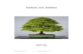MANUAL DEL BONSAI  del bonsai  ==== Damj3t 2003====  2 Qu significa la palabra BONSAI? La palabra BONSAI que es de origen japons, tiene