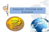 Internet, intranet and extranet