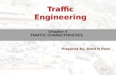 Chapter 1 traffic characterstics