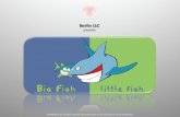 BFlf- Big Fish, little fish!