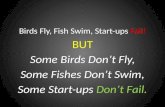 Birds Fly Fish Swim Start Ups Fail