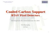 Cooled Carbon Support  BTeV Pixel Detectors