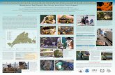 Invasive Tunicates at Shellfish Restoration and Aquaculture Sites